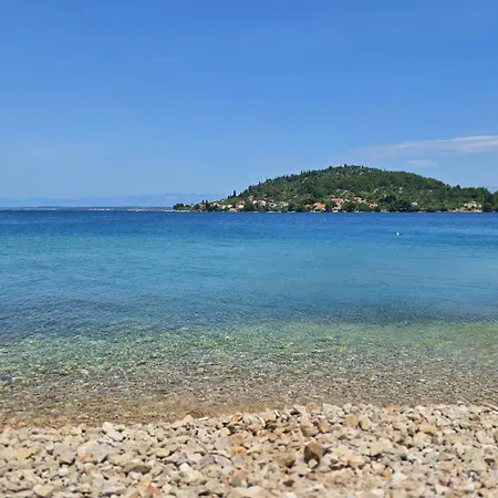 Beachfront Mul